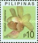 Kingidium philippinense