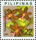 Trichoglottis philippinensis