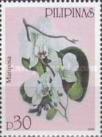 Mariposa (Hedychium coronarium)