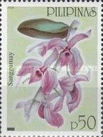 Sanggumay (Dendrobium anosmum)