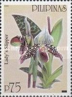 Lady's Slipper (Paphiopedilum argus)