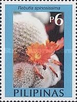 Rebutia spinosissima