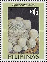 Epithelantha bokei