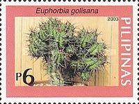Euphorbia golisana