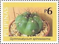 Gymnocalycium spinosissima