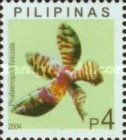 Phalaenopsis fasciata