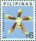 Phalaenopsis fuscata