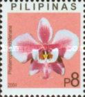 Phalaenopsis schilleriana
