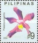 Phalaenopsis pulchra