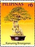 Kamuning Binangonan (Hahn)