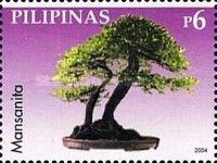 Mansanita (Gupit)
