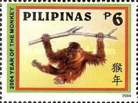 Year of the Monkey (2004)