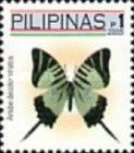 Swallowtail Butterfly (Arisbe decolor stratos)