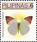 Great Orange Tip (Hebemoia glaucippe ssp. philippensis)