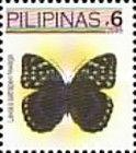 Archduke Butterfly (Lexias satrapes hiwaga)