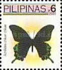 Luzon Peacock Swallowtail (Achillides chikae)