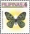 Owl Butterfly (Arisbe ideaoides ideaoides)