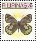 Pierine Butterfly (Delias schoenigi hermeli)