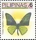 Magellan Birdwing (Troides magellanus)