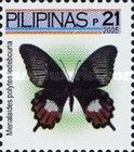 Butterfly (Menalaides polytes ledebouria)