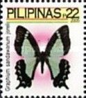Apo Swallowtail (Graphium sandawanum ssp. joreli)