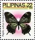 Asian Swallowtail (Papilio xuthus benguetanus)