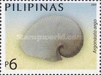 Greater Argonaut (Argonauta argo)