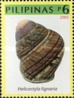 Land Snail (Helicostyla lignaria)