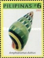 Land Snail (Amphidromus dubius)