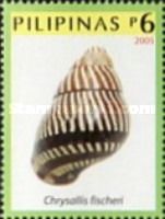 Land Snail (Chrysallis fischeri)