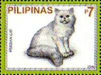 Persian Cat (Felis silvestris catus)