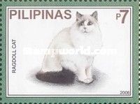 Ragdoll (Felis silvestris catus)