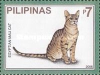 Egyptian Mau (Felis silvestris catus)
