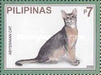 Abyssinian (Felis silvestris catus)