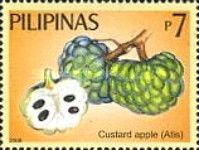 Custard Apples (Atis)