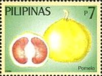 Pomelos (Suha)