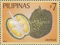 Jackfruit (Langka)