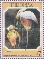 Paphiopedilum adductum