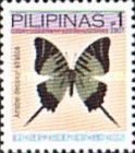 Swallowtail Butterfly (Arisbe decolor stratos)