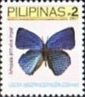 Anthelus Bushblue (Arhopala anthelus ssp. impar)