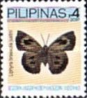 Moth Butterfly (Liphyra brassolis ssp. justini)