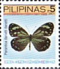 Dannatt's Tiger (Parantica danatti ssp. danatti)