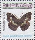 Commander Butterfly (Moduza urdaneta aynii)