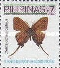 Imperial Butterfly (Cheritra orpheus)