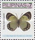 Pierine Butterfly (Delias levicki justini)