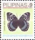 Archduke Butterfly (Lexias satrapes amlana)