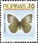 Nymphalid Butterfly (Tanaecia aruna pallida)
