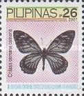 Swallowtail Butterfly (Chilasa osmana osmana)
