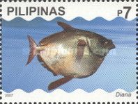 Smalleye Pacific Opah (Lampris incognitus)