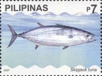 Skipjack Tuna (Euthynnus pelamis)